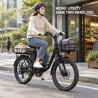 Vélo cargo électrique utilitaire avec porte-bagages avant et arrière et freins hydrauliques pour les revendeurs urbains