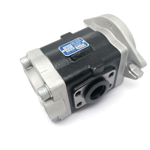 Bomba de Engranajes Hidráulica 0009812281 Compatible con Montacargas de las Series H30 H35 H40 H45 H50 350 351 - Product Image 1