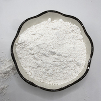 Poudre de silice hydratée de dioxyde de silicium en vrac de haute qualité 99% poudre de fumée de silice de microsilice SiO2 pour le béton