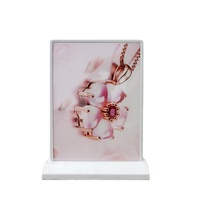Affiche rectangulaire personnalisée remplaçable Bord argent Cadre en aluminium Batterie LED Panneau de menu haute luminosité Dessus de table Boîte à lumière A4
