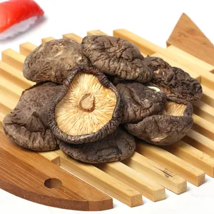 कार्बनिक Shiitake फैक्टरी ताजा Shiitake मशरूम