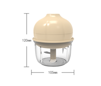 Mini hachoir à viande électrique multifonctionnel 2025, hachoir à ail rechargeable par USB, nouveaux appareils de cuisine en plastique