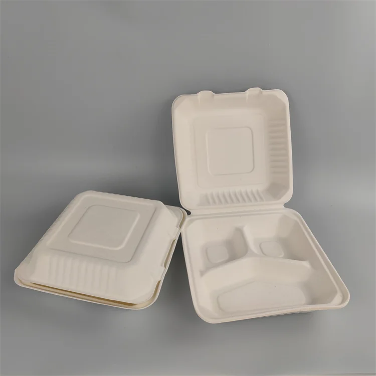 Bagasse-Zellstoffform-Pizzaschachteln