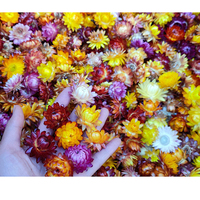 Fleurs séchées en gros, en vrac, éternelles, avec fleurs pressées mélangées, matériel floral pour la décoration intérieure, cadre photo, parfumées