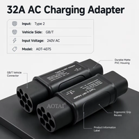 Adaptateur Type 2 vers GB/T 32A Chargeur EV Européen IP54 240V AC pour Véhicules Électriques