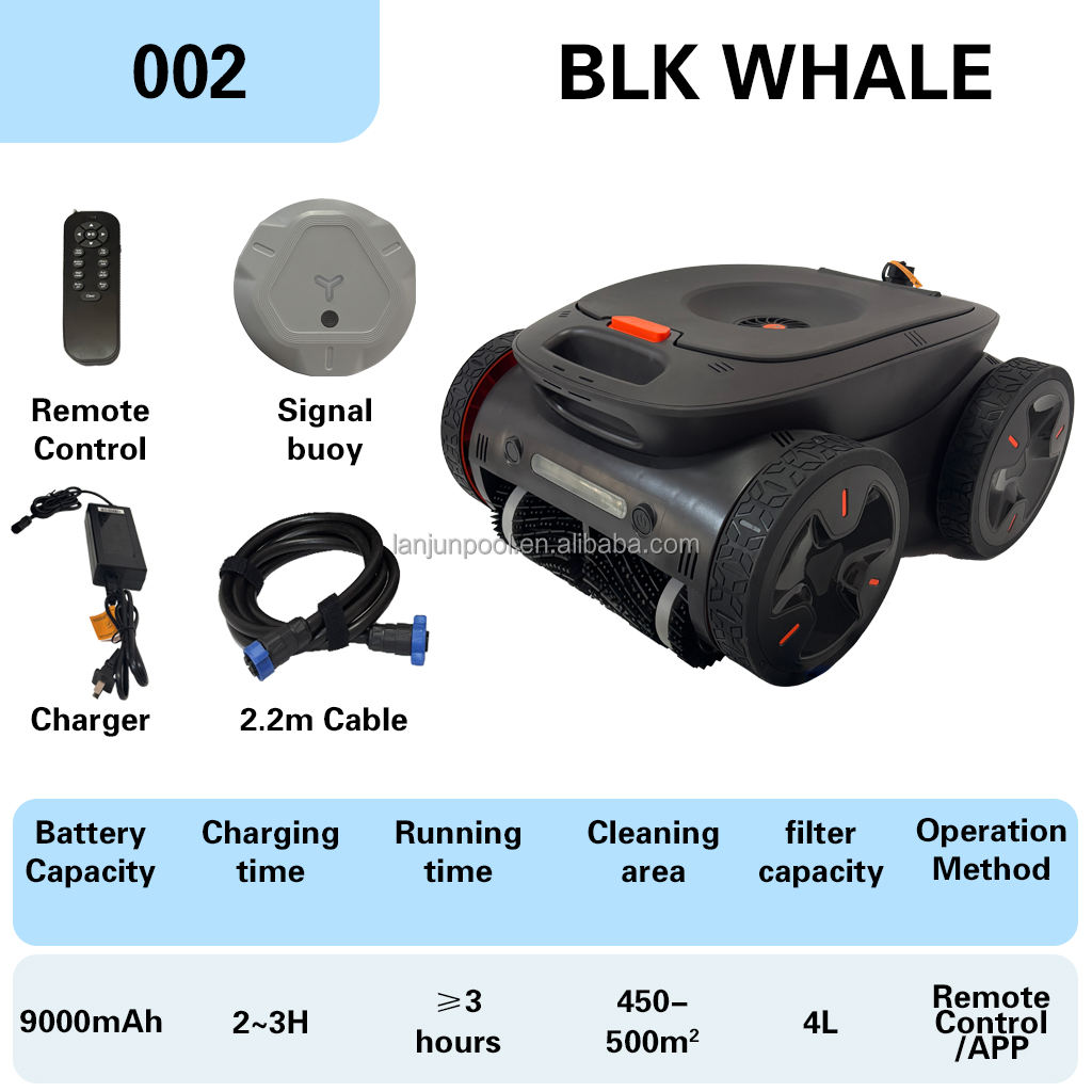 002 # Baleine noire (Bouée de signalisation)