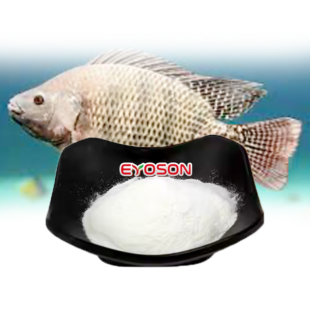 High Quality Small Molecule Peptide 500DA Type 1 Collagen Peptide CTP Hydrolyzed Fish Collagen Tripeptide Powder