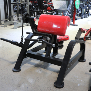 Salle de sport, équipement de fitness, dispositif de sécurité, machine à curler les biceps, machine à curler chargée en acier, salle de sport commerciale SAERDE - Product Image 4