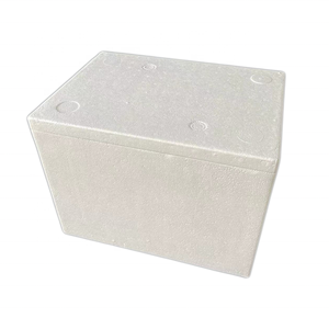 泡沫塑料塑料盒24L聚苯乙烯，用于冷却器食品L370 X W250 X H260毫米白色，用于鱼EPS包装产品20件25毫米 - Product Image 6