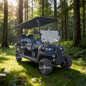 Carrito de Golf Eléctrico 2026 de Último Diseño con Tracción en las 4 Ruedas, Toldo y Cinturón de Seguridad, Certificado CE - Product Image 6