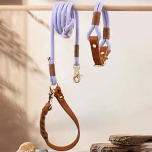 <span class=keywords><strong>Collar</strong></span> de Perro Personalizado de Cuero de Lujo, la Mejor Calidad, Trenzado a Mano, Ajustable, con Cintas de Entrenamiento, Collares Nuevos para Mascotas Pequeñas y Medianas - Product Image 4