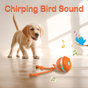 Luxury Interactive Ball Dog Toys-Intellectual <b>Exercise</b> for Dogs - Product Image 3