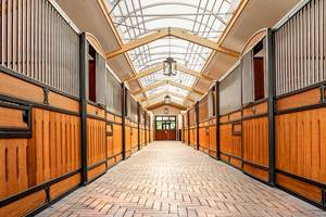 Portes d'écurie pour chevaux, de qualité supérieure, en métal noir thermolaqué et contreplaqué de bambou, pour boxes équestres. - Product Image 2