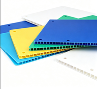 Les feuilles creuses en plastique de polypropylène embarquent la feuille ondulée par pp pour l'emballage et la décoration pour la vente à l'exportation