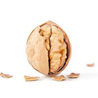 Gedroogde dunne walnoten, bulk, puur natuurlijk, gezonde noten, smakelijke walnoten, verse gepelde dunne walnoten