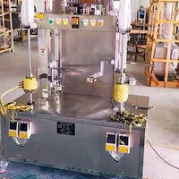 Commerciële grote capaciteit grapefruit ananas schilmachine pompoen papaya jackfruit meloen schilmachine