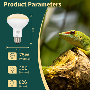 Bombilla de Lámpara de Calor para Reptiles R80 de Fábrica, 75 W, 350 lm, Base E26, Luz de Calentamiento para Terrario, Tortuga, Lagarto, Cuidado Uniforme y Cálido - Product Image 2