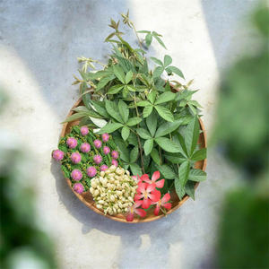 Herbal My Nuong Beauty <b>Tea</b> with Rubus Alceaefolius Leaf – Rich in Antioxidants, Perfect for Evening Relaxation - Product Image 4