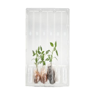 Bandeja de Transporte de Plástico para Plántulas 725X430X6mm, Caja de Embalaje Transparente para Uso en Viveros de Vegetales y Flores - Product Image 4