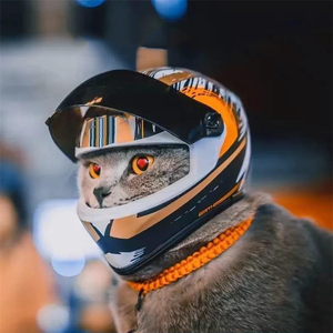cat motorcycle helmet for cats GSYUWIH Motorcycle,Pet Helmets Outdoor Bicycle and Motorcycle Riding,Full Wrap Around Cat Motorcycle Helmet for Adult and Puppies,Racing Fans Collect Small Gifts : Buy Online at Best Price Enhance your motorcycle helmet with a trendy cat helmet cover from Ubuy Italy Motorcycle Helmets for Cats
