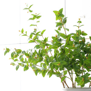Haute qualité vraie touche vert eucalyptus fleur argent feuilles branches artificielles tiges de feuilles pour la maison nouvel an mariage - Product Image 4