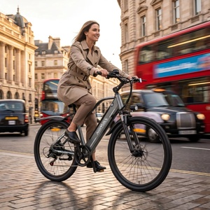 Bicicleta Eléctrica de Montaña EU 250W HillMiles MileTrail 1, Batería de Litio Extraíble de 36V 13Ah, 26 Pulgadas, 7 Velocidades, Bicicleta Eléctrica Urbana - Product Image 1