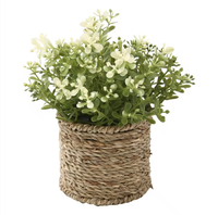Hotselling grensoverschrijdende nieuwe groene kunstplanten, gesimuleerde gepotte eucalyptus & rozemarijn bloemen in cilindrische pulp potten