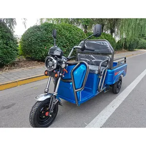 Volta Electric Cargo Tricycle For Adult Charging Generator Adults Used Passenger Electric Tricycles 3 Wheel Electric Cargo Bike