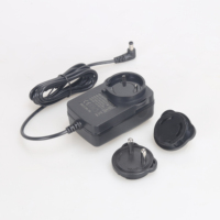 Adaptateur secteur interchangeable 12V 1.0A pour éclairage LED, normes UK/AU/EU/US, vente en gros