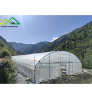 Serre tunnel monopente à structure galvanisée, châssis en acier, serre polytunnel en plastique