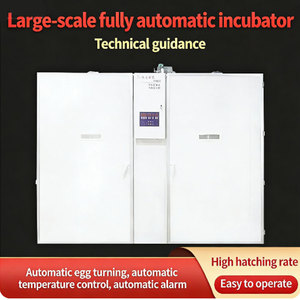 Incubadora Automática para 19200 <span class=keywords><strong>Huevos</strong></span>, Máquina Multifunción para Incubar <span class=keywords><strong>Huevos</strong></span> de <span class=keywords><strong>Gallina</strong></span>, Pato y Ganso - Product Image 1