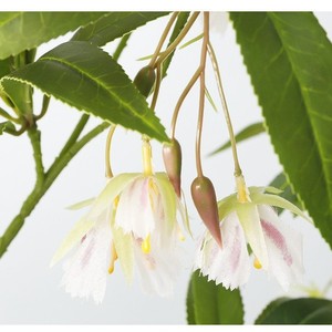 Arbre artificiel en ficus, fleur en soie, pièce unique, décoration intérieure, accessoires de mariage, cadeau de pendaison de crémaillère - Product Image 2