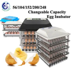 150 Incubators For Hatching Eggs 100 Egg Incubators Automatic