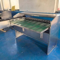 Volledig geautomatiseerde bediening verse eieren sorteermachine aanpasbare eierenweegschaal betrouwbare eieren sorteermachine