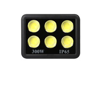 Projecteur de jardin haute puissance éclairage de stade extérieur IP65 200W 300W 400W 500W 600W 800W réflecteur Led Cob lumière d'inondation extérieure