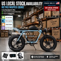 Vélo électrique rétro type cyclomoteur avec siège long, en stock local aux États-Unis, avec pièces de rechange disponibles pour les acheteurs d'échantillons, fournisseur OEM