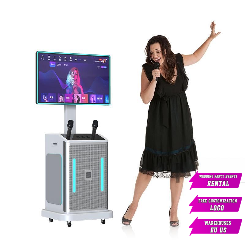 10 inch Wireless Microphone Party Speaker