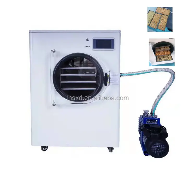 Liofilizador de alimentos y vegetales para el hogar, secador de congelación al vacío, máquina de secado
