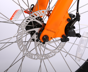 26 Inch Chất Béo Lốp Chu Kỳ Điện Leo Núi Lai Xe Đạp 48V 20Ah Pin Lithium 750W bafang Động Cơ Xe Đạp Điện - Product Image 6