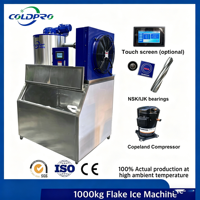 Machine à glace en flocons de 1000 kg/1T, vente directe usine, grande capacité, pour usine alimentaire, usage industriel, couleurs personnalisables
