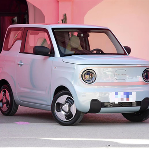 Geely Panda <span class=keywords><strong>Mini</strong></span> <span class=keywords><strong>2023</strong></span> Smart Bear per auto elettrica Geely <span class=keywords><strong>Mini</strong></span> Car fascia di prezzo basso 200km in vendita - Product Image 2
