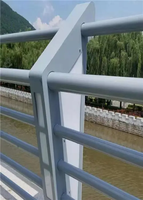 Barrière de projecteur LED pour éclairage de pont piétonnier en acier inoxydable pour projets municipaux