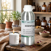 Diffuseur d'aromathérapie à huile essentielle premium 100 ml pour machine à encens, humidificateur d'air froid pour la maison et la pièce, parfum d'ambiance
