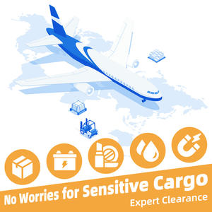 Agent d'expédition DHL FedEx UPS TNT EMS Express transitaire Chine États-Unis Royaume-Uni Allemagne Canada Italie LCL + expédition Express FBA - Product Image 2