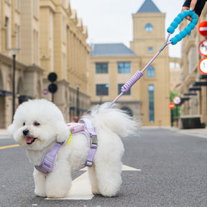 Grosir satu Set ransel tali kekang anjing poliester antiair awet lembut antilembap jaring pengaman anjing empuk - Product Image 1