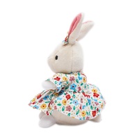 Cpc personalizado suave juguete Peter Rabbit Holding Chicks Oem/ODM muestra gratis lindo conejo juguetes de peluche personalizado