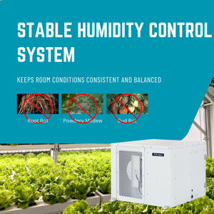Deshumidificador Altaqua para Cuarto de Cultivo con Compresor de Alta Eficiencia y Alto Rendimiento - Product Image 4