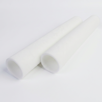 Filtres à eau industriels en plastique PE cylindriques blancs à surface lisse pour fabricants, 1-20 microns, 200 L/heure, traitement de l'eau