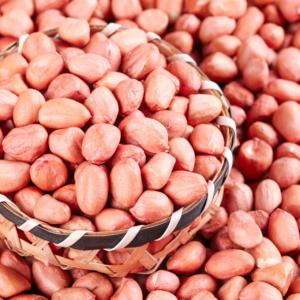 Nouvelles graines d'arachide saines, brutes, de qualité alimentaire, 12,5 kg*2/carton, vente en gros en vrac - Product Image 2