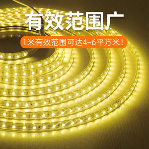 ไฟ LED ไล่ยุง 220V กันน้ำ สำหรับตกแต่งภายนอกและภายในอาคาร Epistar SMD 120LEDs - Product Image 3